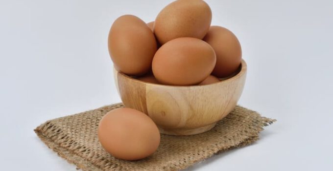 Mogen katten eieren eten? Wat zijn de voordelen en voorzorgsmaatregelen?
