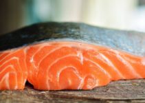 Mogen katten zalm eten? Is het ook een superfood voor katten?