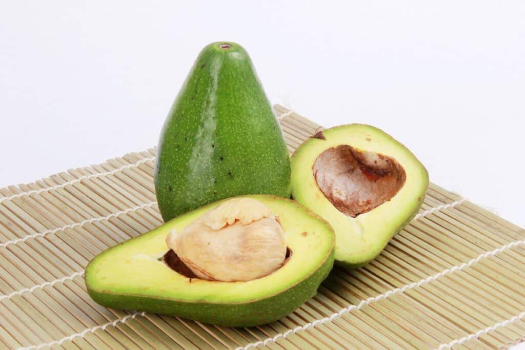 katten en avocado