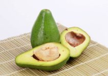 Mogen katten avocado eten? Is avocado goed voor katten?