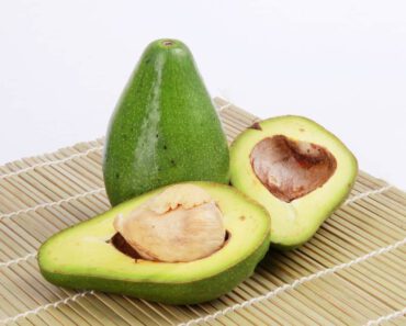 Mogen katten avocado eten? Is avocado goed voor katten?