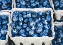 Mogen katten blauwe bessen eten? Zijn blauwe bessen goed voor katten?