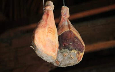 katten en ham