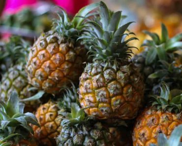 Mogen katten ananas eten? Is ananas goed voor katten?