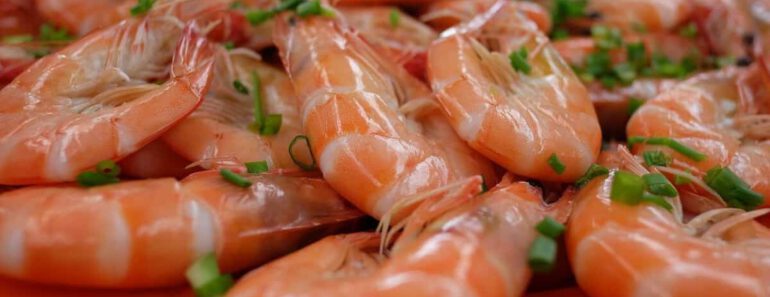 Mogen katten garnalen eten? Zijn garnalen goed voor katten?