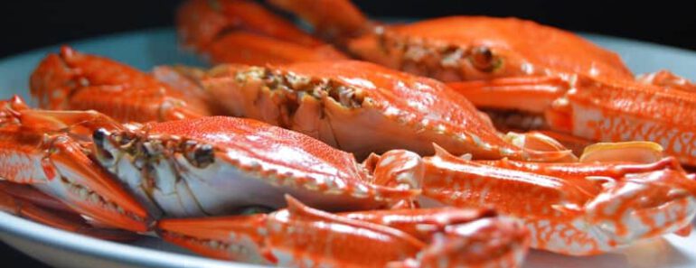 Mogen katten krab eten? Is krab veilig voor katten?