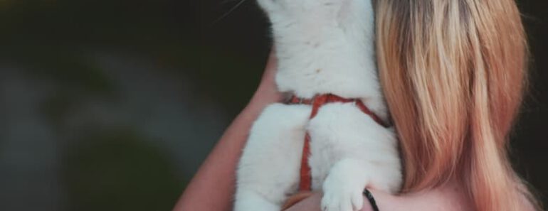 6 manieren om een band met je kat te krijgen