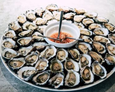 Mogen katten oesters eten? Zijn oesters veilig voor katten?