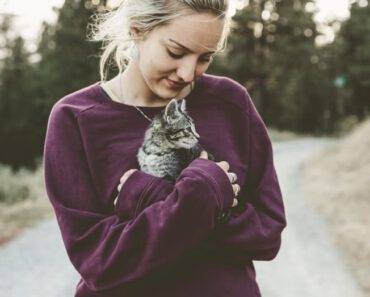 Top 7 redenen waarom mensen van katten zouden moeten houden