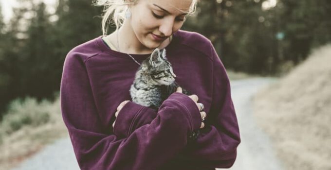 Top 7 redenen waarom mensen van katten zouden moeten houden