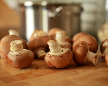 Mogen katten champignons eten? Zijn champignons veilig voor katten?