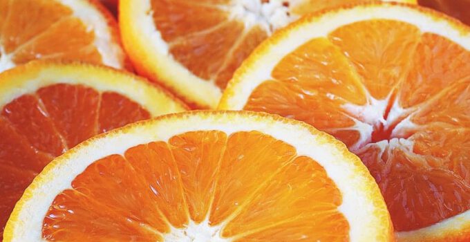 Mogen katten sinaasappels eten? Zijn sinaasappels veilig voor katten?