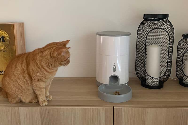 Kort leven gemeenschap Gewoon overlopen Automatische voerbak kat: 3x de beste voor jouw kat - Katmundo